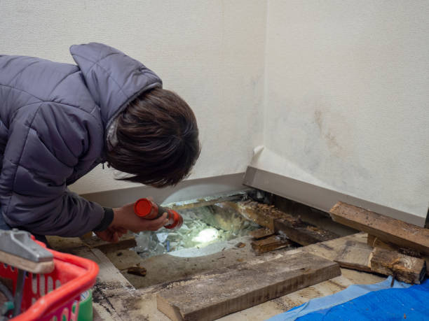 Best Crawl Space Mold Remediation  in Lake Mills, WI