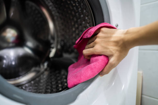 Best Mold Prevention Services  in Lake Mills, WI