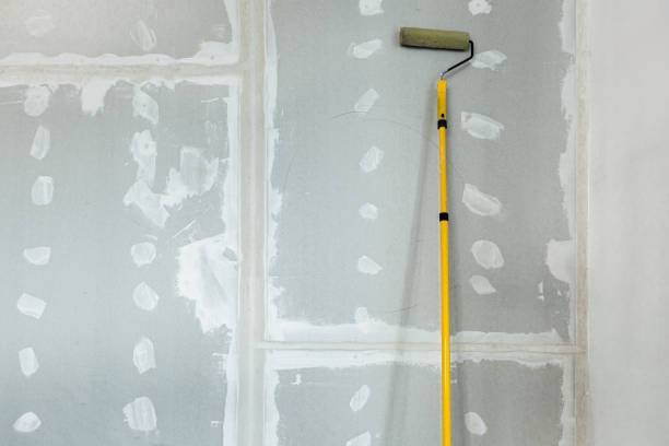 Best Mold Removal for HVAC Installations  in Lake Mills, WI