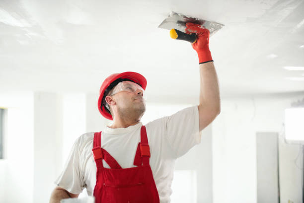 Professional Mold Removal in Lake Mills, WI
